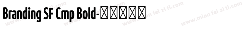 Branding SF Cmp Bold字体转换